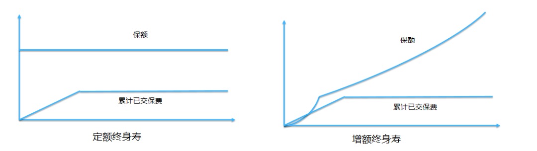 同樣的保障為什么我買的壽險貴了10倍？