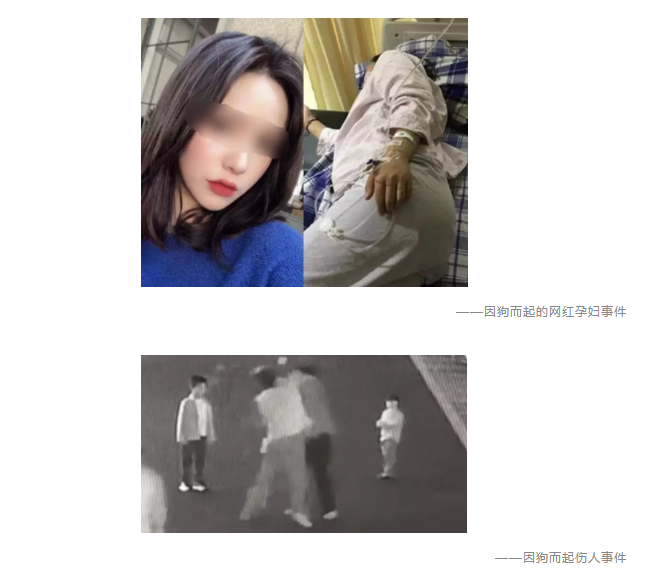 為什么不買保險就不讓養(yǎng)狗？