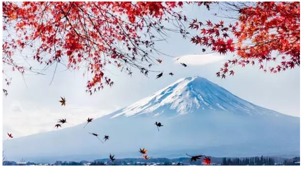 尊享e生值不值得購買？