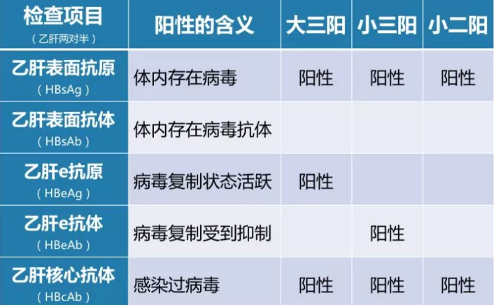 乙肝病毒攜帶者應(yīng)該如何正確投保？