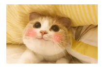 到底什么是保單貼現(xiàn)？