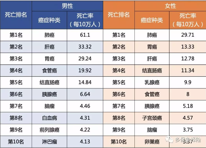 女性高發(fā)重疾怎么選？