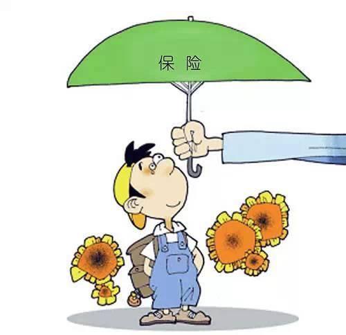 4.025% 年金險真的值得買嗎？錯過了就不再有了？